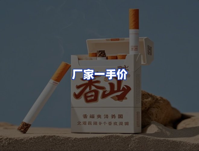 专业团队